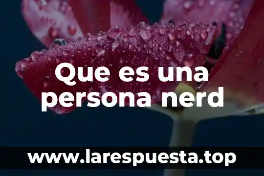 Que es una persona nerd