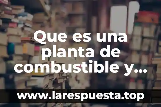 Que es una planta de combustible y sus tipos