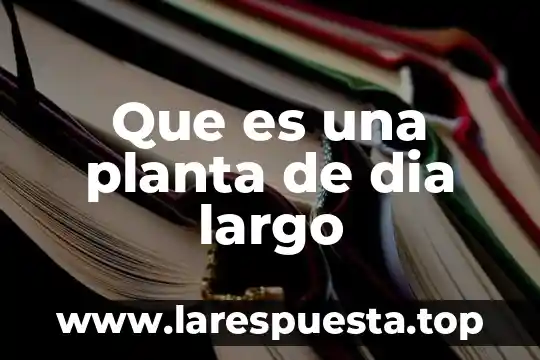 Que es una planta de dia largo