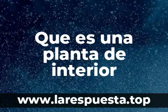 Que es la planta de techos 3 Que es una planta de interior