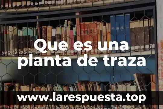 Que es una planta de traza