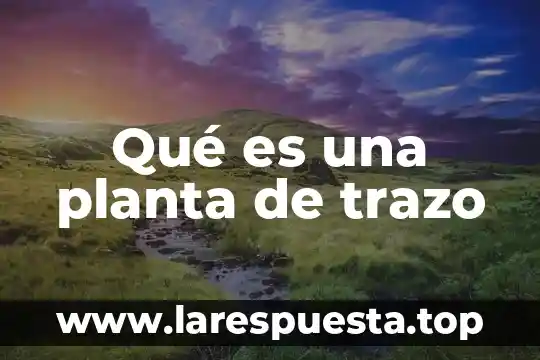 Qué es una planta de trazo