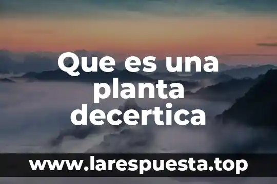 Que es una planta decertica