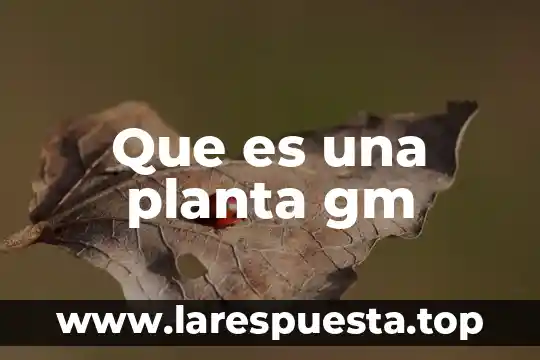 Que es una planta gm