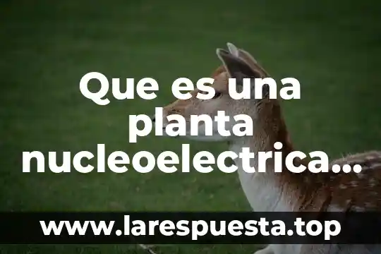 Que es una planta nucleoelectrica y como funciona