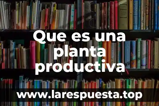 Que es la planta de techos 5 Que es una planta productiva