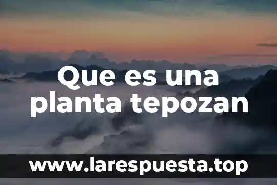 Que es una planta tepozan