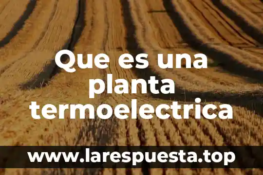 Que es una planta termoelectrica