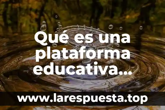Qué es una plataforma educativa maquetado de página web