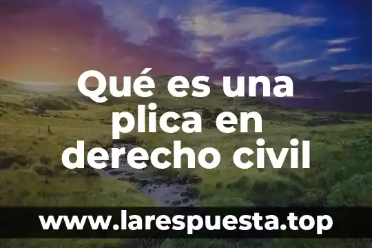 Qué es una plica en derecho civil