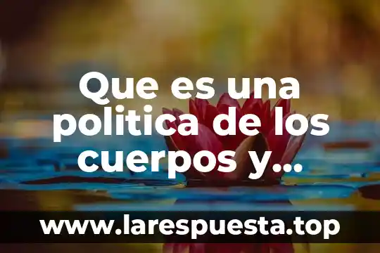 Que es tbe en equilibrio de cuerpos rigidos 3 Que es una politica de los cuerpos y emociones