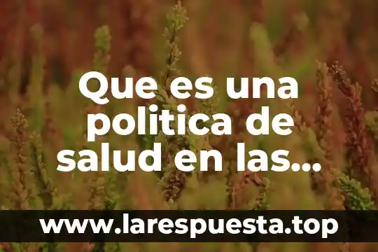 Que es una politica de salud en las empresas