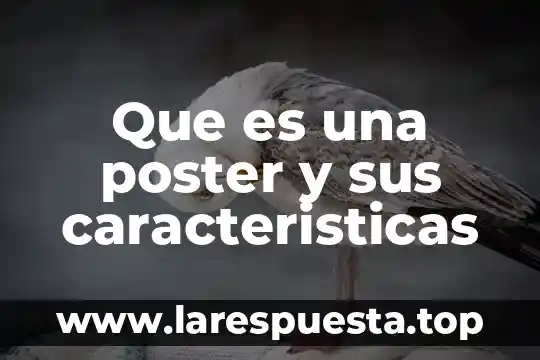 Que es una poster y sus caracteristicas