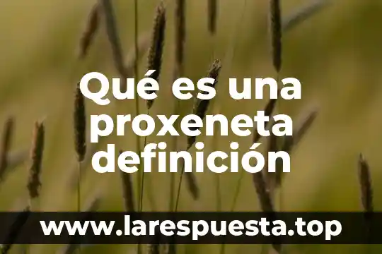 Qué es una proxeneta definición