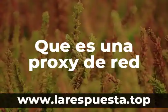 Que es un indicador proxy 5 Que es una proxy de red
