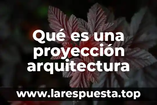 Que es metraje en arquitectura 7 Qué es una proyección arquitectura