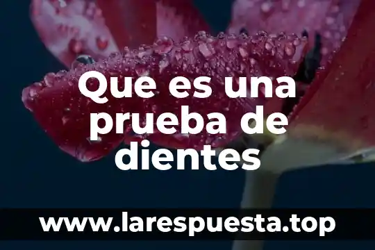 Que es bueno para el dolor de encias y dientes 4 Que es una prueba de dientes