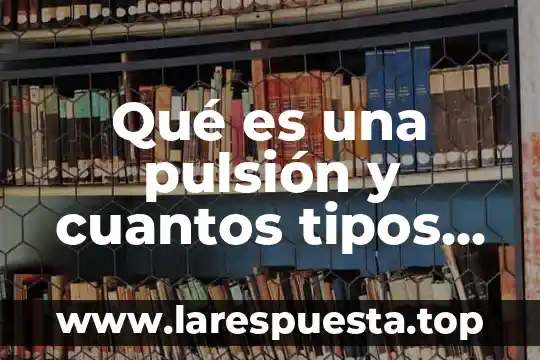 Qué es un ángulo qué tipos de ángulos hay 3 Qué es una pulsión y cuantos tipos hay