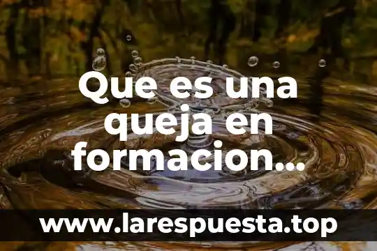Que es interdependencia formacion civica y etica 8 Que es una queja en formacion civica y etica secundaria