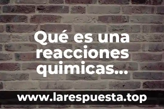 Gluconeogenesis para que es tipos de reacciones 3 Qué es una reacciones quimicas laboratorio