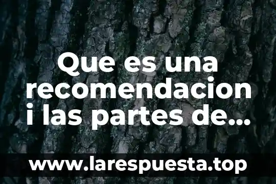 Que es una tabla estadistica y sus partes 6 Que es una recomendacion i las partes de una reomendacion