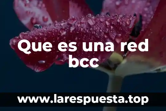 Que es el nombre de la red 7 Que es una red bcc