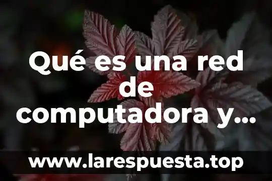 Qué es una función y cuántos tipos de función hay 7 Qué es una red de computadora y cuantos tipos hay