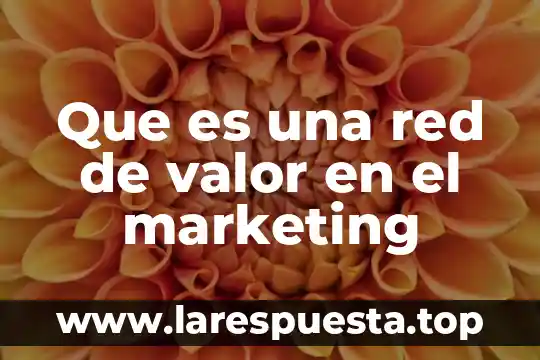 Que es el nombre de la red 4 Que es una red de valor en el marketing
