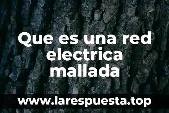 Que es una red ibm 8 Que es una red electrica mallada