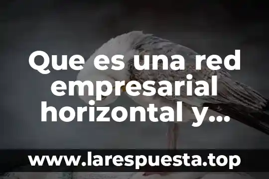 Que es tic en el diseño de las red 3 Que es una red empresarial horizontal y vertical