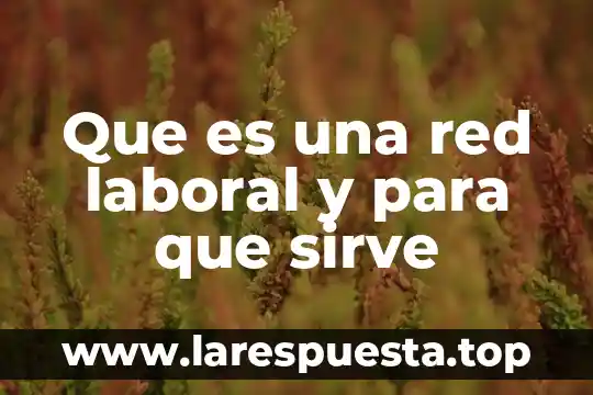 Que es una red privada virtual 4 Que es una red laboral y para que sirve