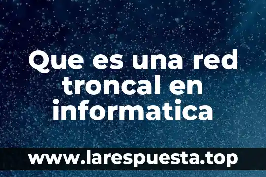 Que es una red troncal en informatica