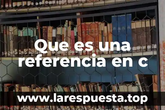 Qué es una referencia y formato 6 Que es una referencia en c