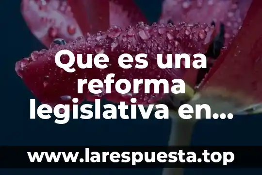 Que es una reforma legislativa en mexico