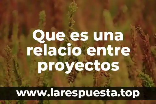 Que es maquinaria y equipamiento para proyectos innovadores empresariales 6 Que es una relacio entre proyectos