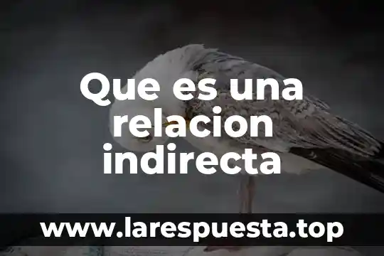 Que es n2 eb relacion a los catetos 7 Que es una relacion indirecta