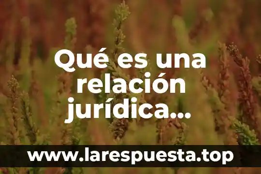 Que es falta de cndicones objetivas enciclopedia juridica 3 Qué es una relación jurídica contractual