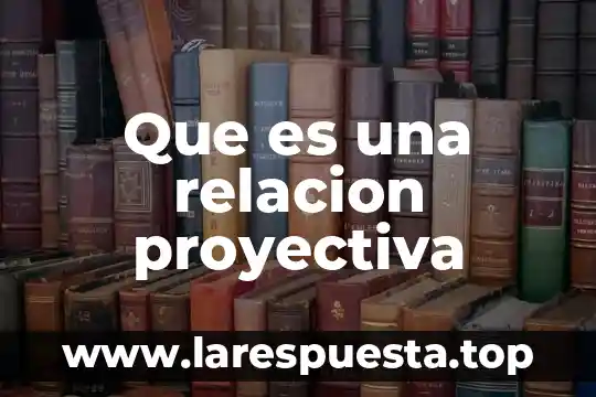 Que es una relacion indirecta 8 Que es una relacion proyectiva