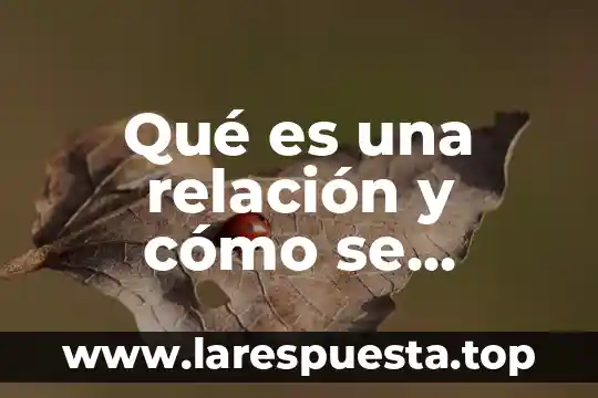 Que es relación de columnas y ejemplos 6 Qué es una relación y cómo se relacionan los componentes