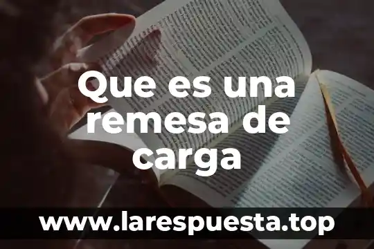 Que es buffer de carga en electroforesis y tipos 8 Que es una remesa de carga