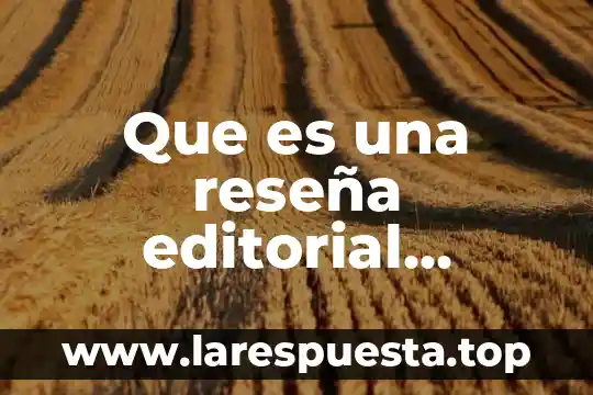 Que es el arte de amar reseña 8 Que es una reseña editorial definicion