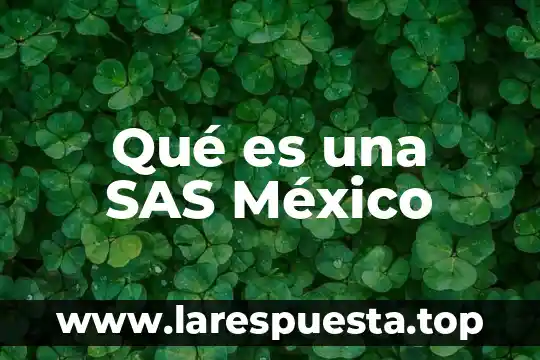 Qué es una SAS México