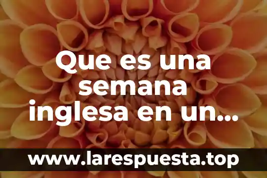 Que es dividir el trabajo por edad y sexo 6 Que es una semana inglesa en un trabajo