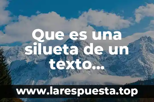 Que es una silueta de un texto instructivo