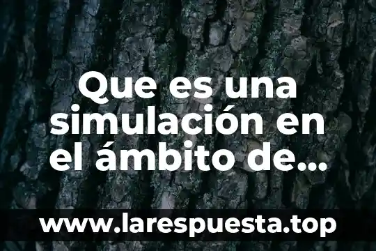 Qué es una simulación física 4 Que es una simulación en el ámbito de una investigación
