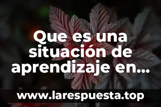 Que es una situación de aprendizaje en preescolar definición