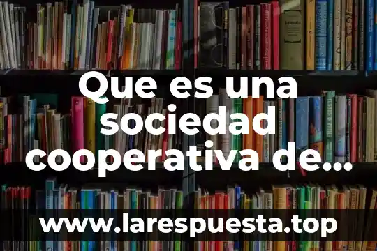 Que es una sociedad cooperativa de servicios