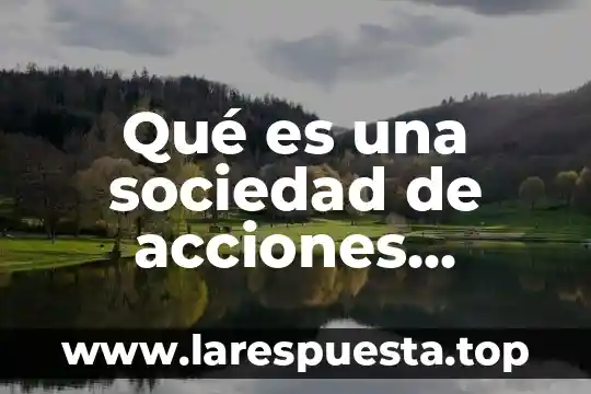 Que es la disciplina segun la rae 3 Qué es una sociedad de acciones simplificadas rae