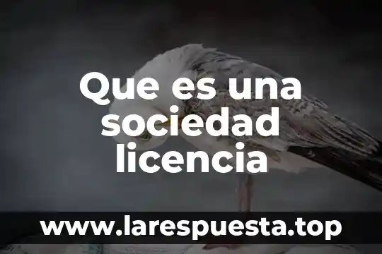 Que es licencia ambiental municipal 4 Que es una sociedad licencia