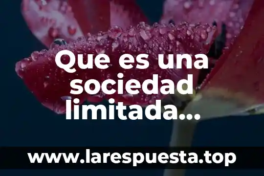 Que es una sociedad limitada caracteristicas en mexico